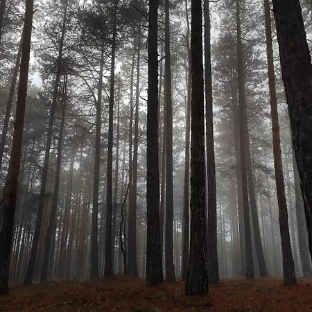 Srebrna Pahulja Appartement